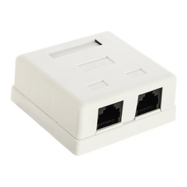  Розетка RJ-45+RJ-45 TWT TWT-SM2-4545-WH открытый монтаж категория 5e 