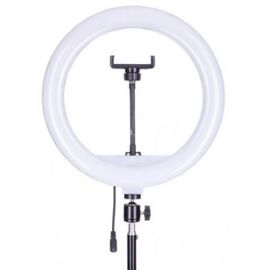  Кольцевая лампа QX-300 с пультом на проводе, диаметр 30см, в коробке (White) 