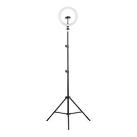  Светильник кольцевой Camelion KD-810F C02 (13010) 